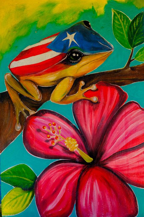 El Coqui y La Amapola 8x10
