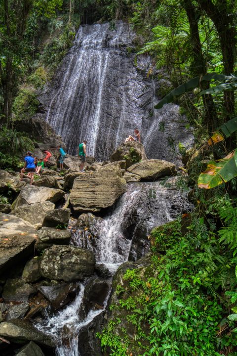 El Yunque 11x17