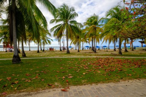 Luquillo Beach 8x10