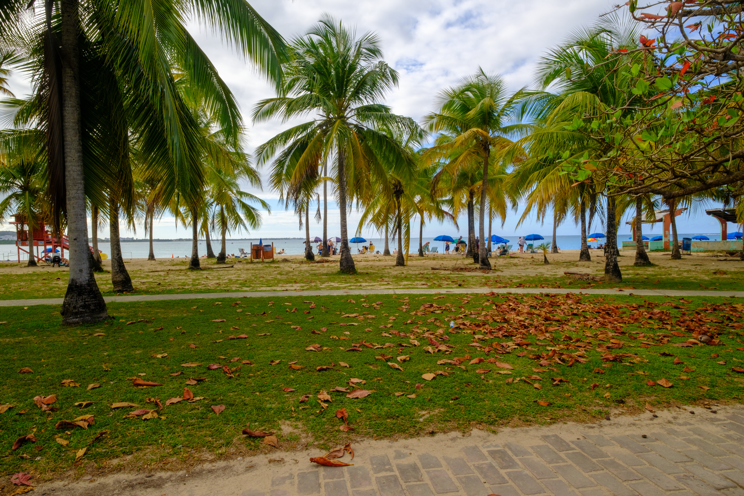 Luquillo Beach 8x10