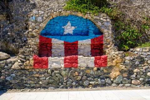 Nuestra Bandera 11x17